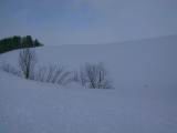 IMG_9159.JPG