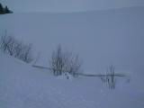IMG_9162.JPG