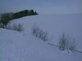 IMG_9163.JPG