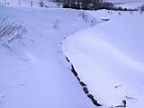 IMG_9172.JPG