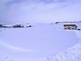 IMG_9173.JPG