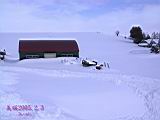 IMG_9175.JPG