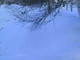IMG_9183.JPG