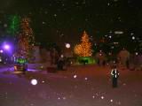 IMG_9208.JPG