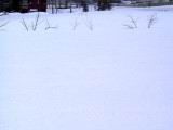 IMG_9217.JPG