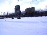 IMG_9224.JPG