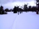 IMG_9225.JPG