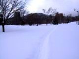IMG_9226.JPG