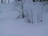 IMG_9246.JPG