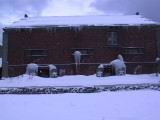 IMG_9259.JPG