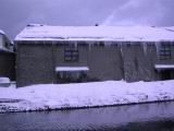 IMG_9261.JPG