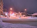 IMG_9331.JPG