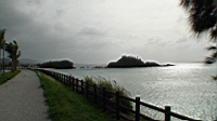 DSC00312.JPG