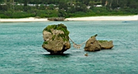 DSC00319.JPG