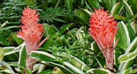 DSC00324.JPG