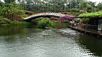 DSC00325.JPG