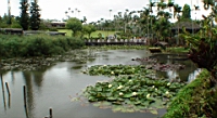DSC00326.JPG