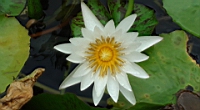 DSC00327.JPG