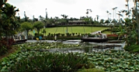 DSC00328.JPG