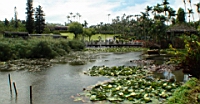 DSC00330.JPG