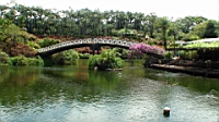 DSC00331.JPG