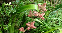 DSC00339.JPG