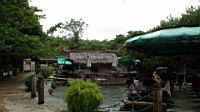DSC00340.JPG