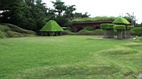 DSC00342b.jpg