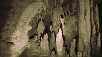 DSC00347.JPG