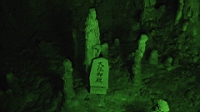 DSC00352.JPG