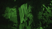 DSC00353.JPG