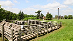 IMG_0901.JPG
