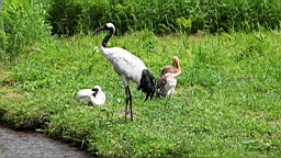 IMG_0922.JPG