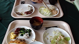 DSC00029.JPG