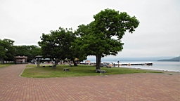 IMG_0955.JPG