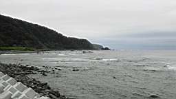 IMG_1050.JPG