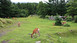 IMG_1078.JPG