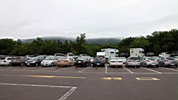 IMG_1080.JPG