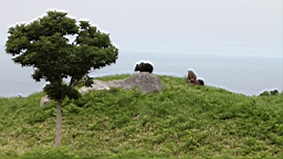 IMG_1093.JPG