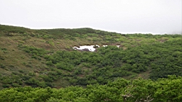 IMG_1111.JPG