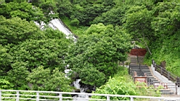 IMG_1128.JPG