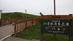 IMG_1131.JPG