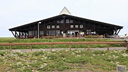 IMG_1174.JPG
