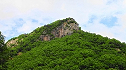 IMG_1191.JPG