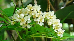 DSC00056.JPG