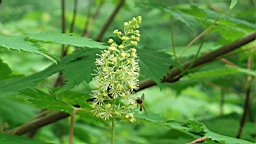 DSC00057.JPG