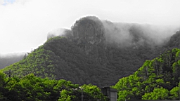 IMG_1237.JPG