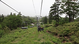 IMG_1249.JPG
