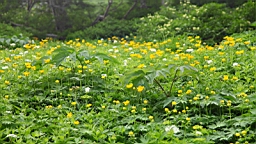 IMG_1262.JPG