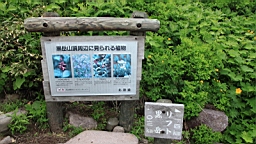 IMG_1276.JPG